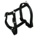 Pettorina nylon Champion - Ferplast - Nero / M