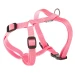 Pettorina Champion Medium per Cani - Rosa - Ferplast - Foto 1
