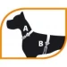 Pettorina Champion Small per Cani - Verde Acido - Ferplast - Foto 2