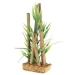Cyperus Sp. & Bamboo 20 Cm - Blu 9114 - Pianta In Plastica