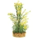 Bacopa 20 Cm - Blu 9111 - Pianta In Plastica