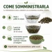 come somministrare la polpa di barbabietola al cavallo