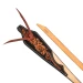 Pool's Redini Western Dark Floral in cuoio - Unica Nero/Naturale - foto 2