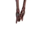 Professional's Choice Testiera One-Ear 5/8 Quick Change - Unica Marrone - foto 5