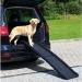 Trixie Rampa Plastica 40x156 cm nera per cani