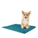 Record Tappetino in Microfibra per Cani 65x90 cm Azzurro