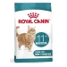 Royal Canin Ageing 11+ Sterilized Cat, crocchette per gatti sterilizzati senior, 400 g