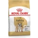 Royal Canin Bulldog - Mangime secco cane 3 kg