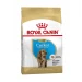 Royal Canin Cocker Puppy crocchette per cucciolo di Cocker confezione 3 kg