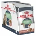 Royal Canin Digest Sensitive - Bocconcini in Salsa - 12 x 85 gr