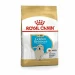 Royal Canin Golden Retriever Puppy sacco 12 kg