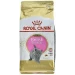 Royal Canin British Shorthair Kitten 2 kg - mangime secco