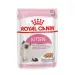 Royal Canin Kitten Gelatina - 1 bustina 85 gr