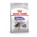 Royal Canin Mini Sterilised Adult crocchette per cani sterilizzati di taglia piccola