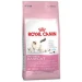 Royal Canin Mother & Babycat - secco 400 gr - Foto 6
