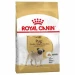 Royal Canin Pug Adult crocchette per Carlino 1,5 kg