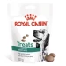 Royal Canin Satiety Dog Treat snack per cani 230 g