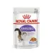 Royal Canin Sterilised Jelly - 12 bustine da 85 gr