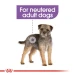 Royal Canin umido cane Sterilised - 12 x 85 gr - Foto 2