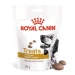 Royal Canin Urinary Dog Treat per Cani 230 g