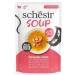 Schesir Cat Soup Salmone/Carote 12 x 40 g