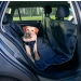 Trixie Copri Sedili Auto MT 1,45×1,60 Nero