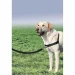 TX Easy Walk Professional TG - TRIXIE - Thumbnail 1