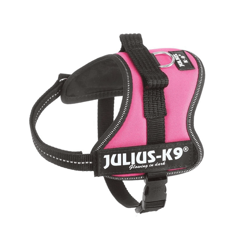 Pettorina Julius K9 Mini-Mini/S Fucsia 40-53 cm