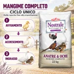 Ciclo unico: avviamento, accrescimento e ingrasso