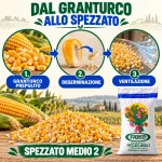 Spezzato Medio 2 di Granturco NO OGM per Polli - 25 kg - Thumbnail 4