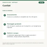 Cunilat – 4