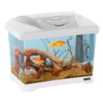 Ferplast acquario Capri Junior 21 L per pesci