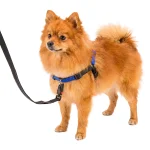 Ferplast pettorina Coach in nylon per cani - foto 4