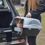 Ferplast Atlas Deluxe trasportino per cani, misura 10 - foto 3