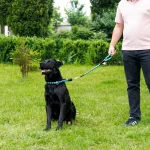 Ferplast guinzaglio Twist GM in nylon per cani - foto 4