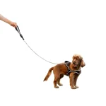 Ferplast Ergocomfort Metal GM guinzaglio per cani, GM20/65 - foto 4