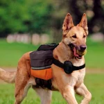Ferplast zaino Dog Scout per cani - foto 2