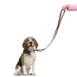 Ferplast guinzaglio Vip GA in pelle per cani - foto 4