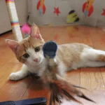 Ferplast gioco Raptor in plastica per gatti - foto 4