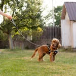 Ferplast Ergocomfort Metal GM guinzaglio per cani, GM20/65 - foto 3