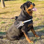 Ferplast pettorina Hercules XL in nylon per cani - foto 4