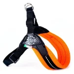 Pettorina Easy Fit Neon Regolabile 1 Treponti - Thumbnail 1