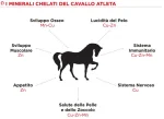 Purina Horse STARR - Nutrimento alta energia cavalli elevata performance - Kg.25 - Foto 2