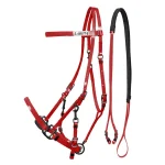 Testiera-Cavezza Lakota in Biothane con Redini Gommate