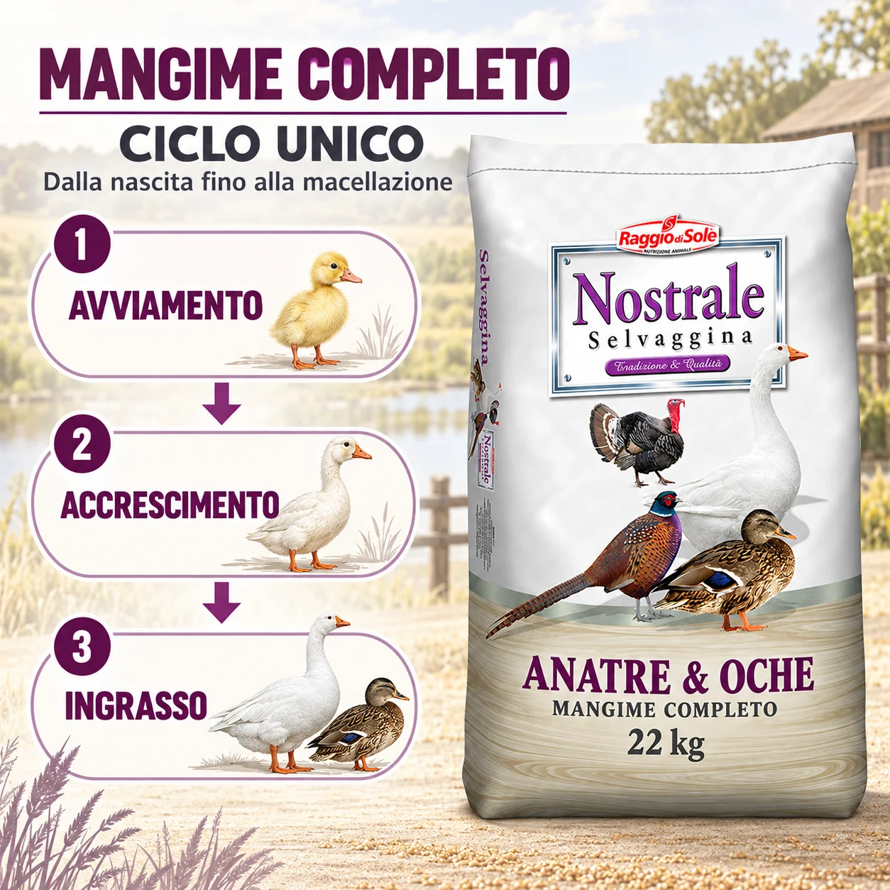 Ciclo unico: avviamento, accrescimento e ingrasso