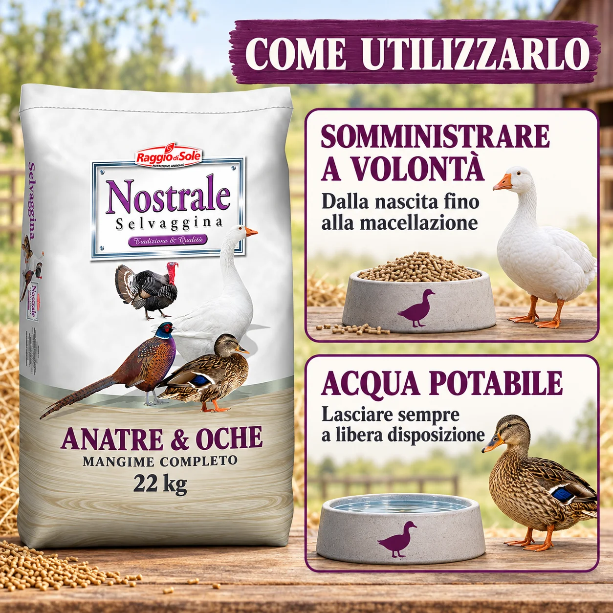 Istruzioni d’uso del mangime Raggio di Sole