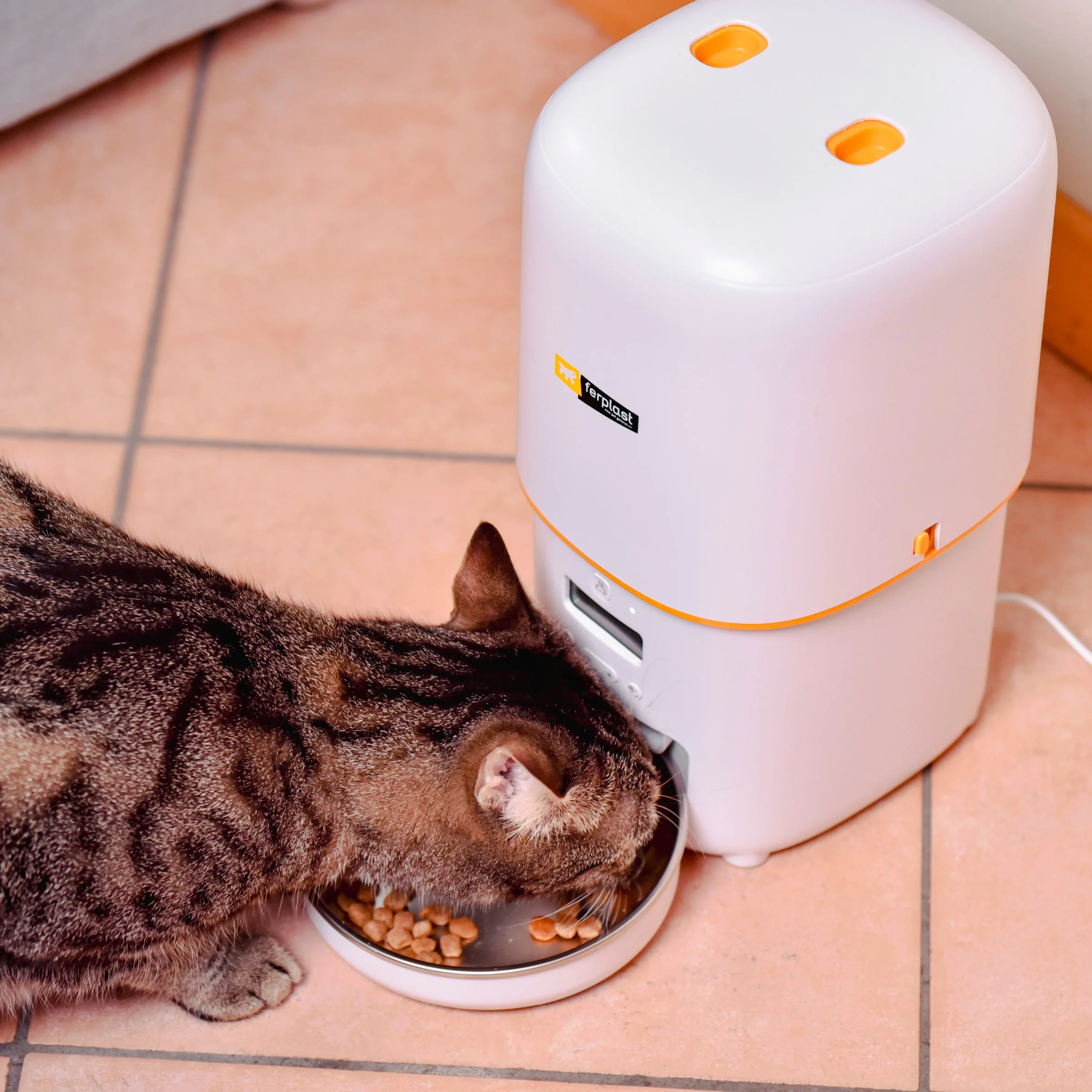 Ferplast mangiatoia automatica Risto Pet per cani e gatti - foto 3