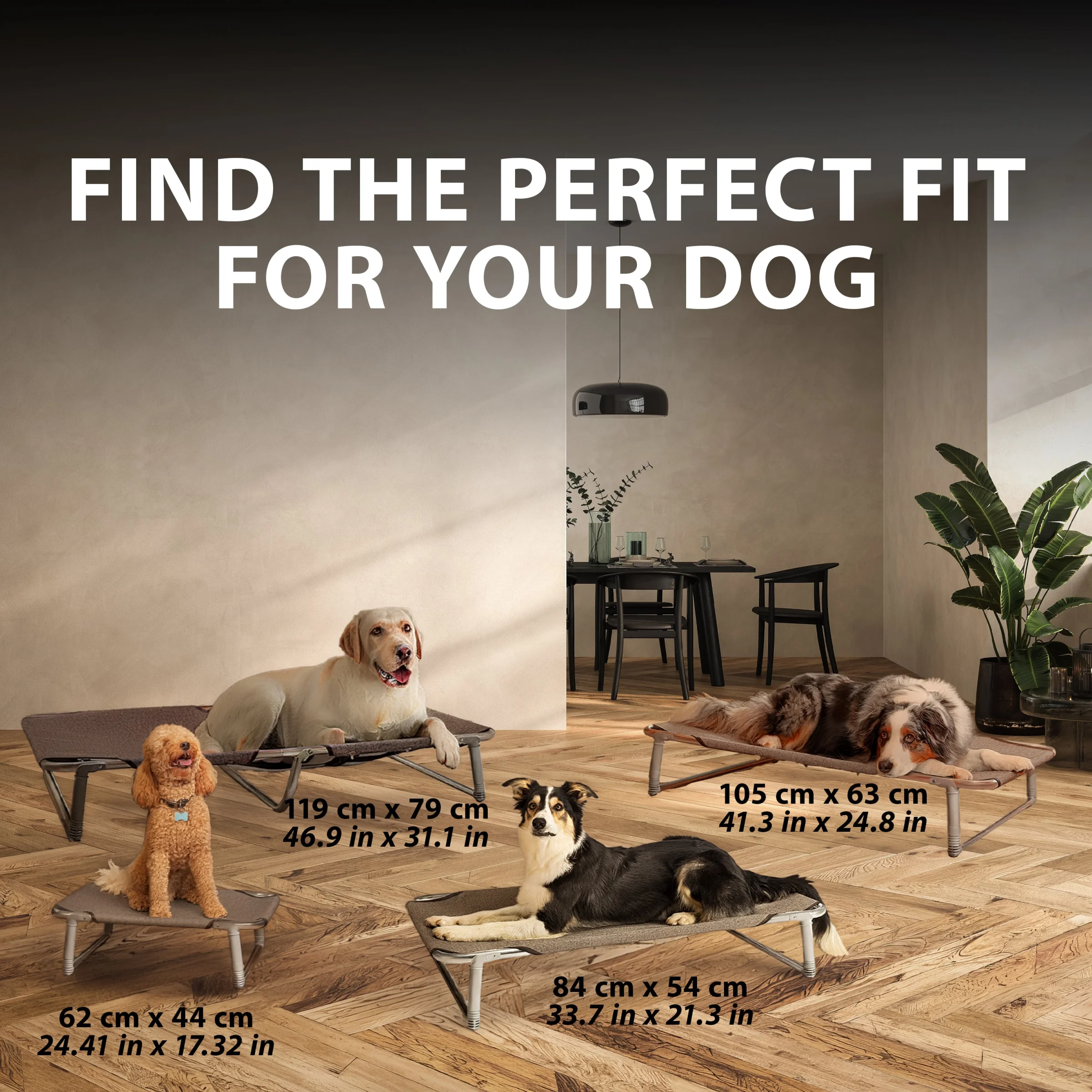 Ferplast brandina Dream per cani - foto 4