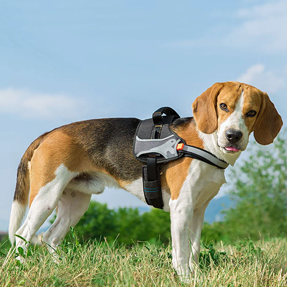Ferplast pettorina Hercules S in nylon per cani - foto 4