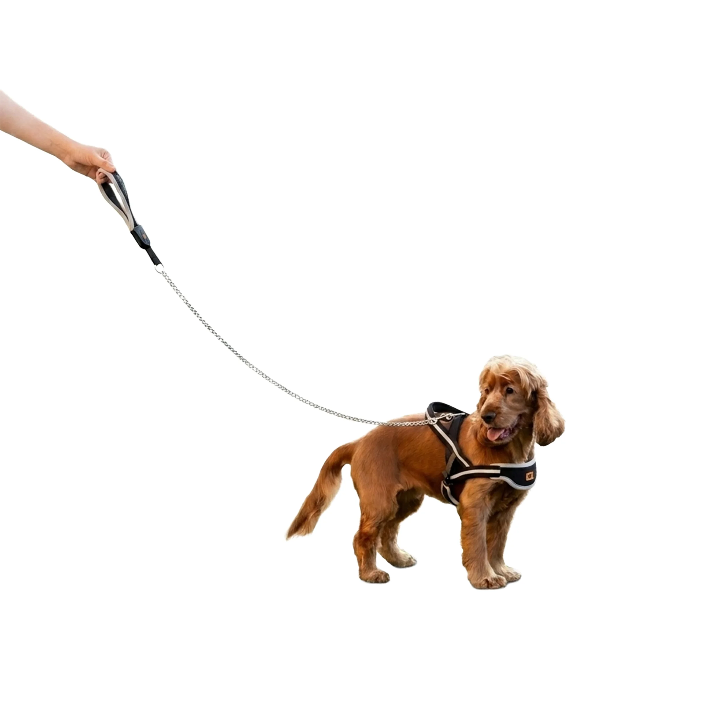 Ferplast Ergocomfort Metal GM guinzaglio per cani, GM20/65 - foto 4